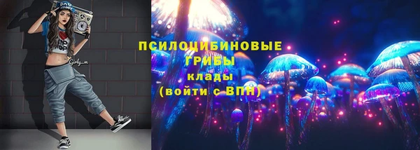 винт Касимов