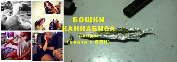 амф Каменка