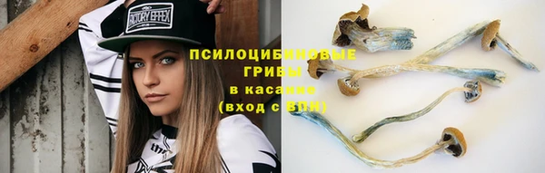 экстази Тавда
