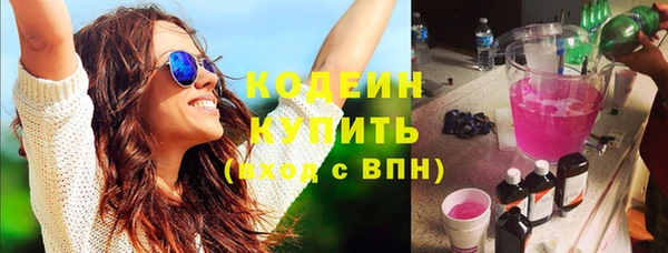 амф Каменка