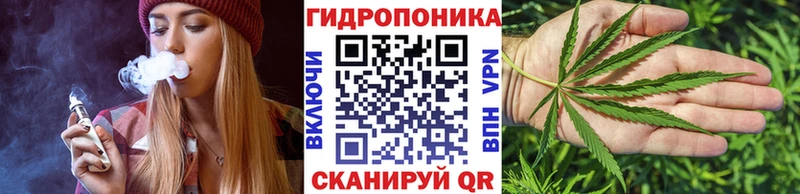 Купить  Омутнинск  Бошки Шишки Amnesia 